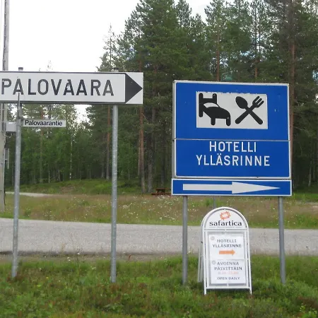 Tunturikoivu *