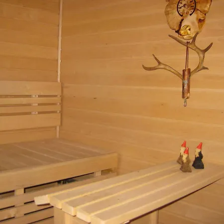 Tunturikoivu * Ylläsjärvi