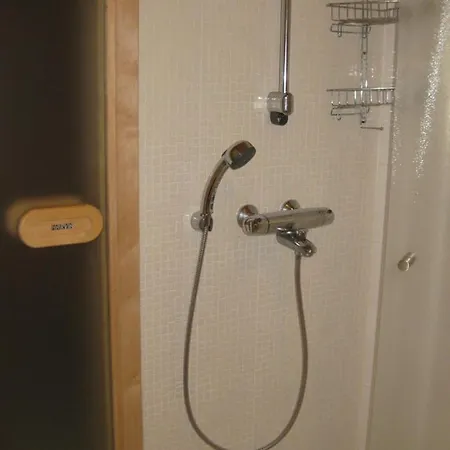 Tunturikoivu Ylläsjärvi