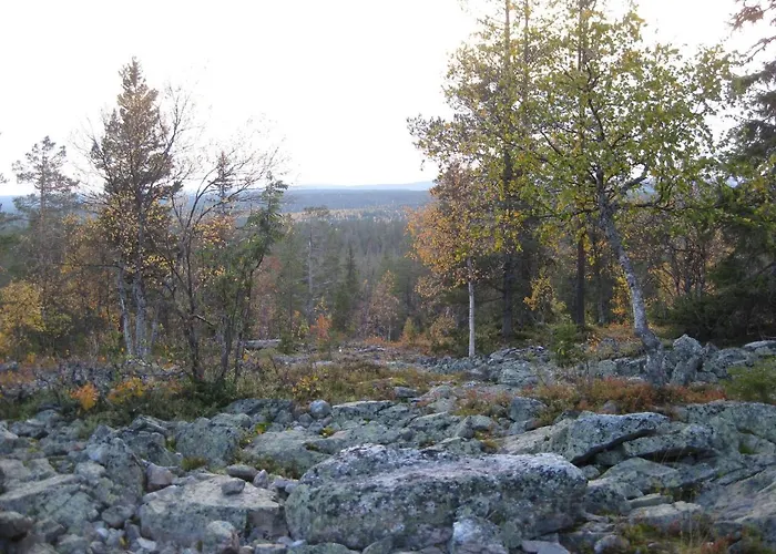 Apartment Tunturikoivu Ylläsjärvi
