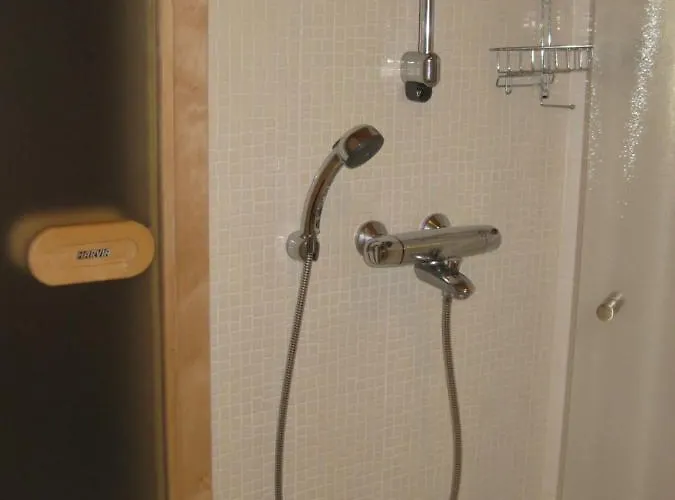 Tunturikoivu Ylläsjärvi